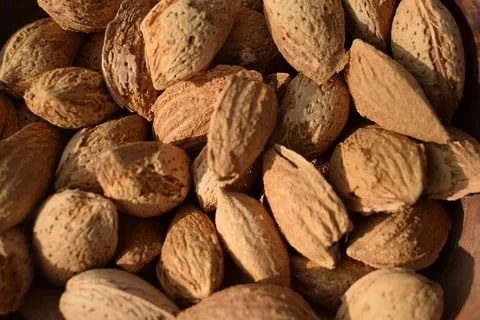تصویر 3 از خرید بادام درختی عمده + قیمت عالی باکیفیت